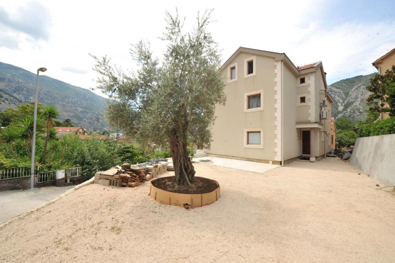Apartments Olive Котор Екстер'єр фото